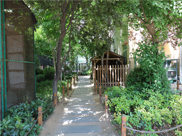 10校园美景 (8).jpg